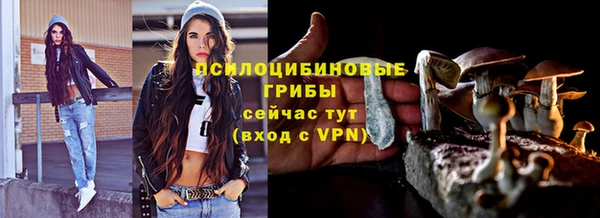 спайс Алексин